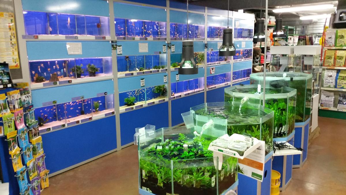 96 Petit Aquarium Design Jardiland HD Terbaru